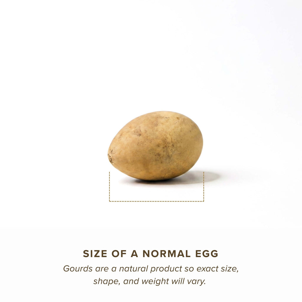 Dried Medium Gourd Egg