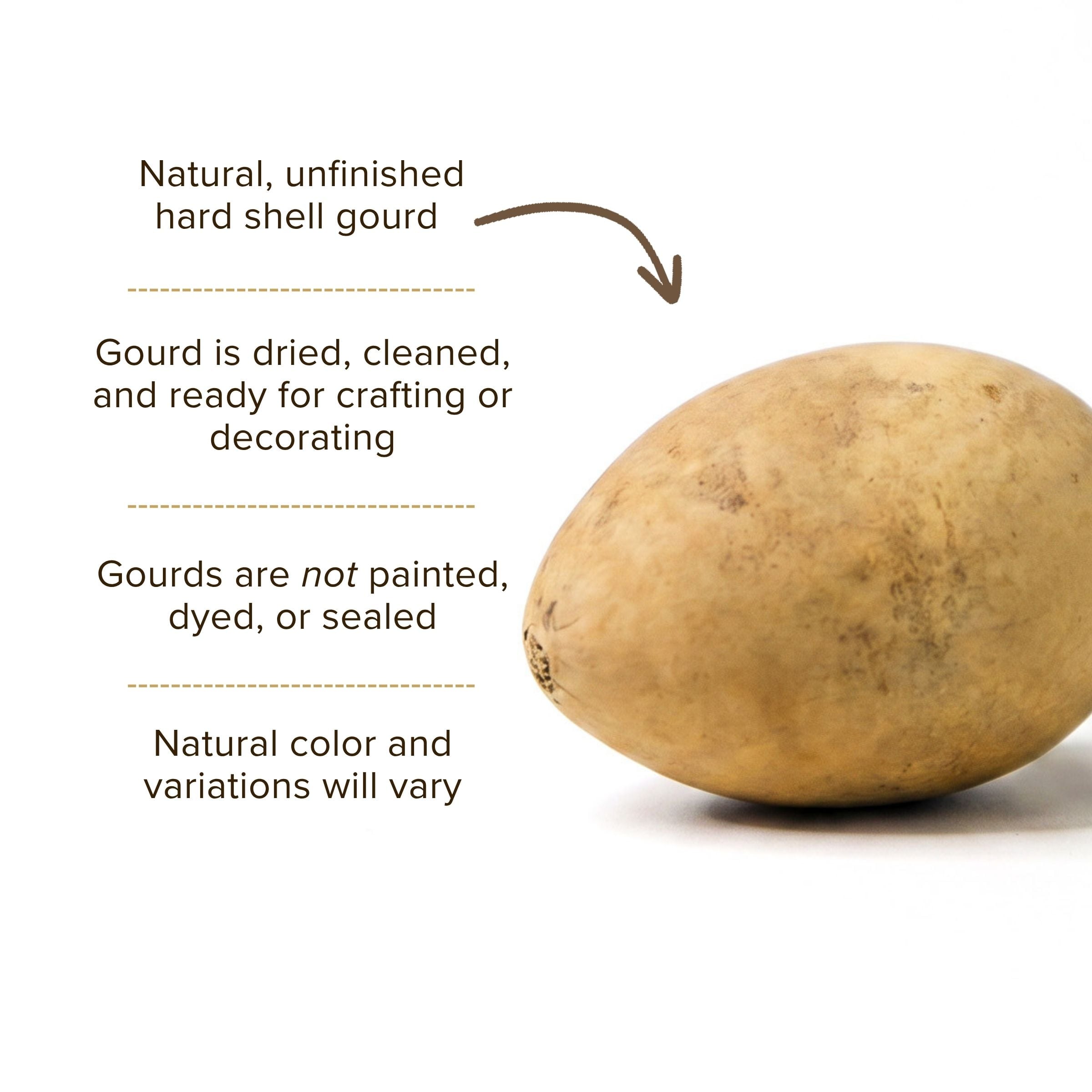 Dried Medium Gourd Egg