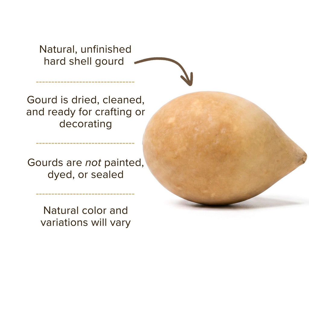 Dried Large Gourd Egg