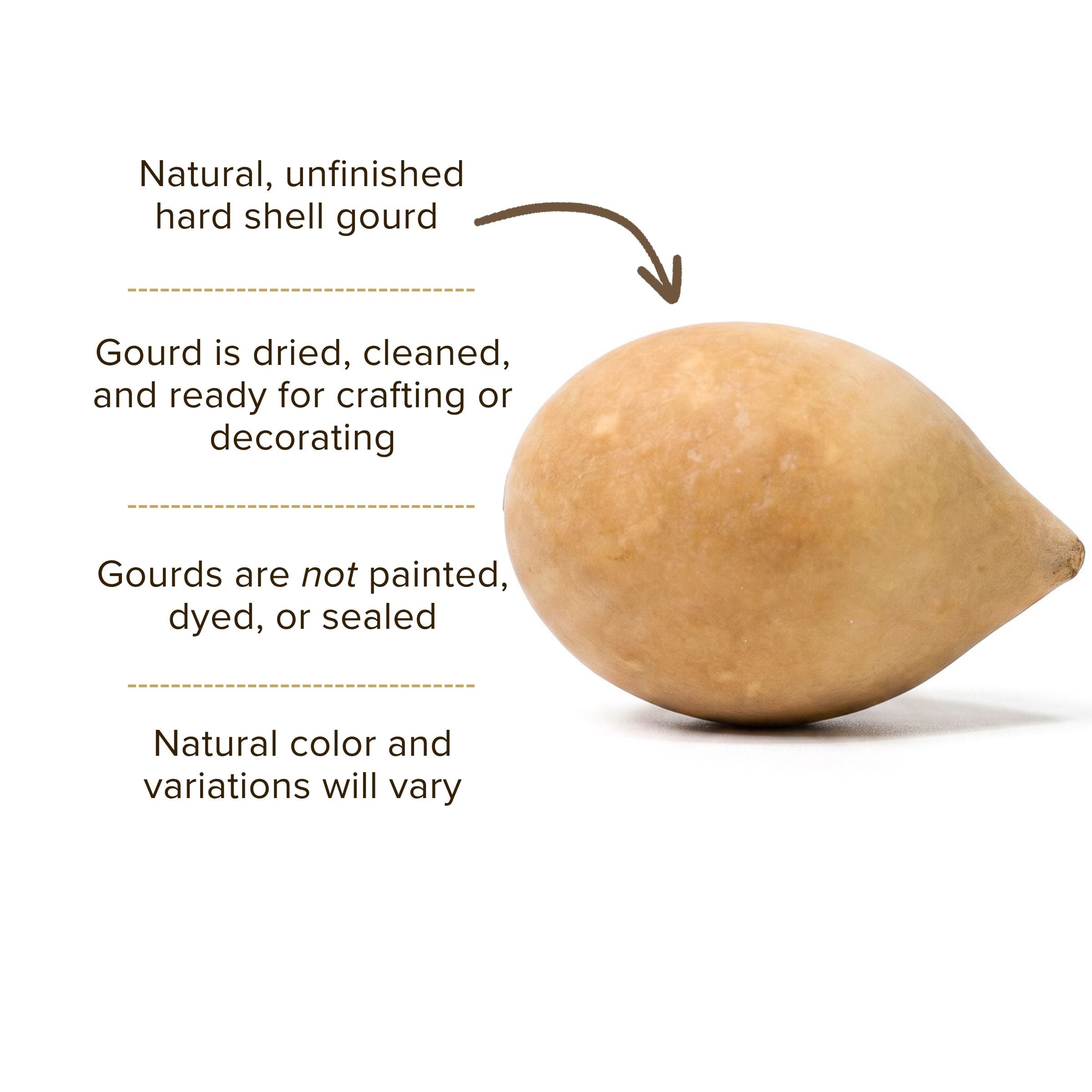 Dried Large Gourd Eggs
