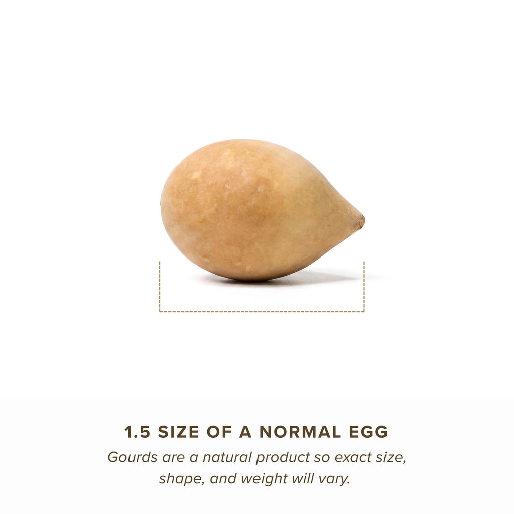 Dried Large Gourd Egg