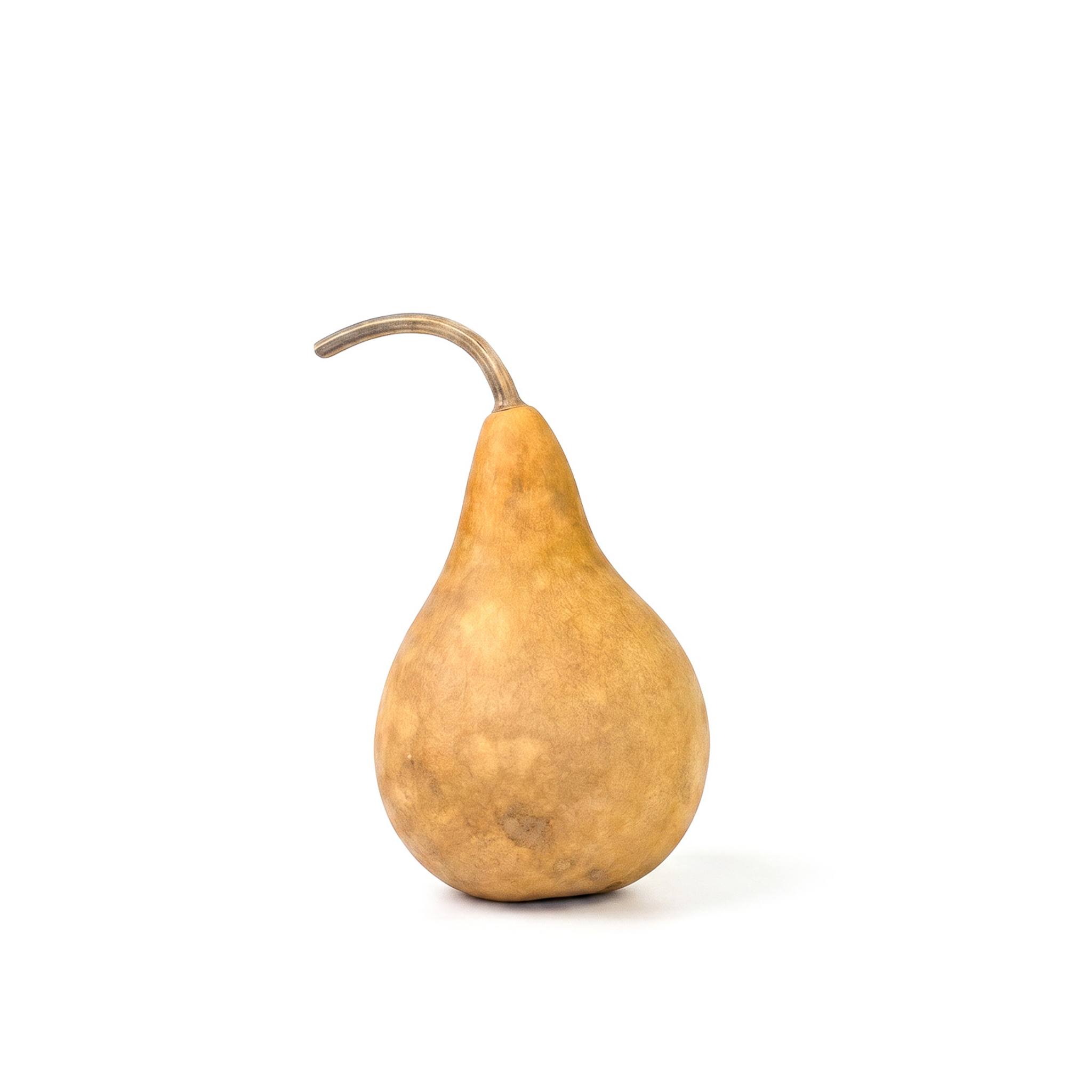 Dried Martin Gourd - 2" in Diameter