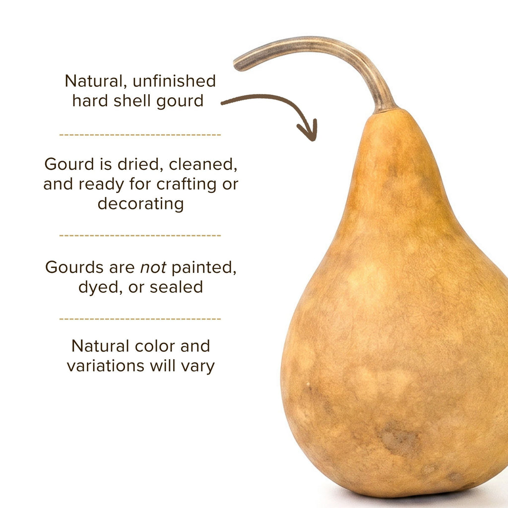 Dried Martin Gourd - 2" in Diameter