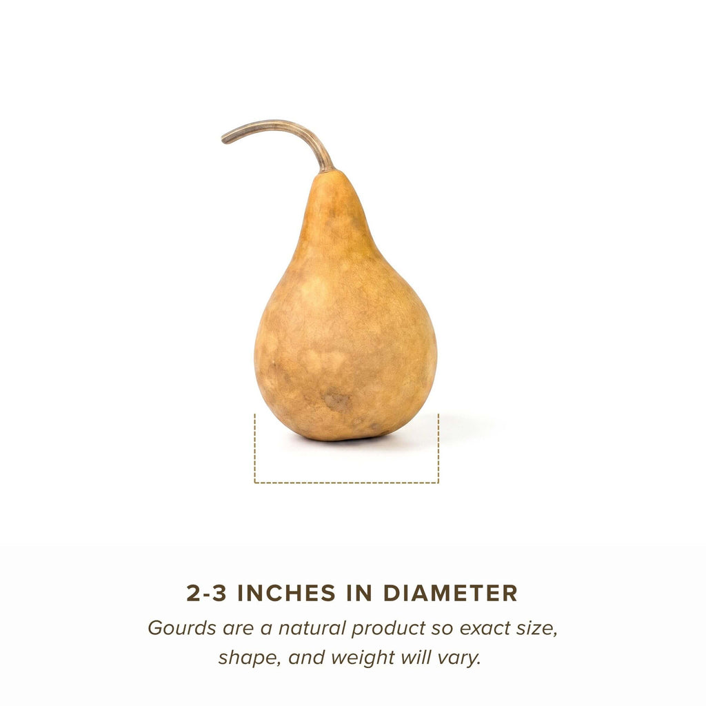 Dried Martin Gourd - 2" in Diameter