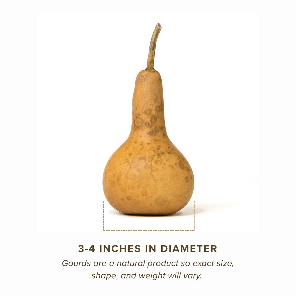 Dried Martin Gourd - 3" in Diameter