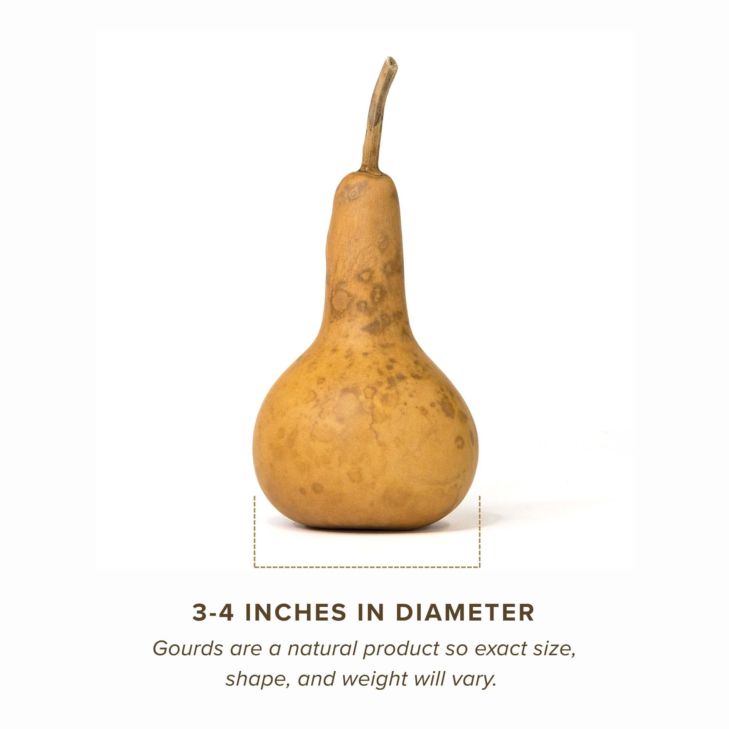 Dried Martin Gourd - 3" in Diameter