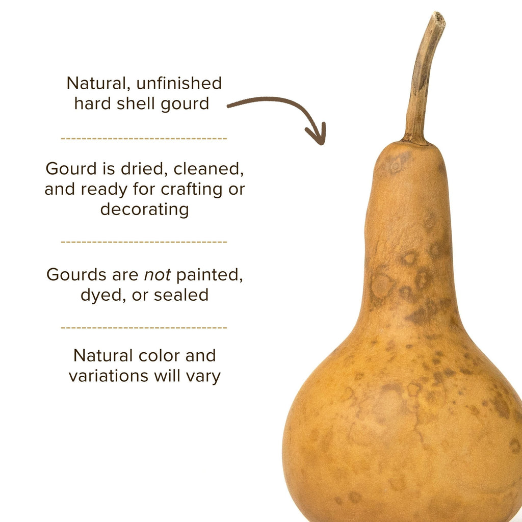 Dried Martin Gourd - 3" in Diameter