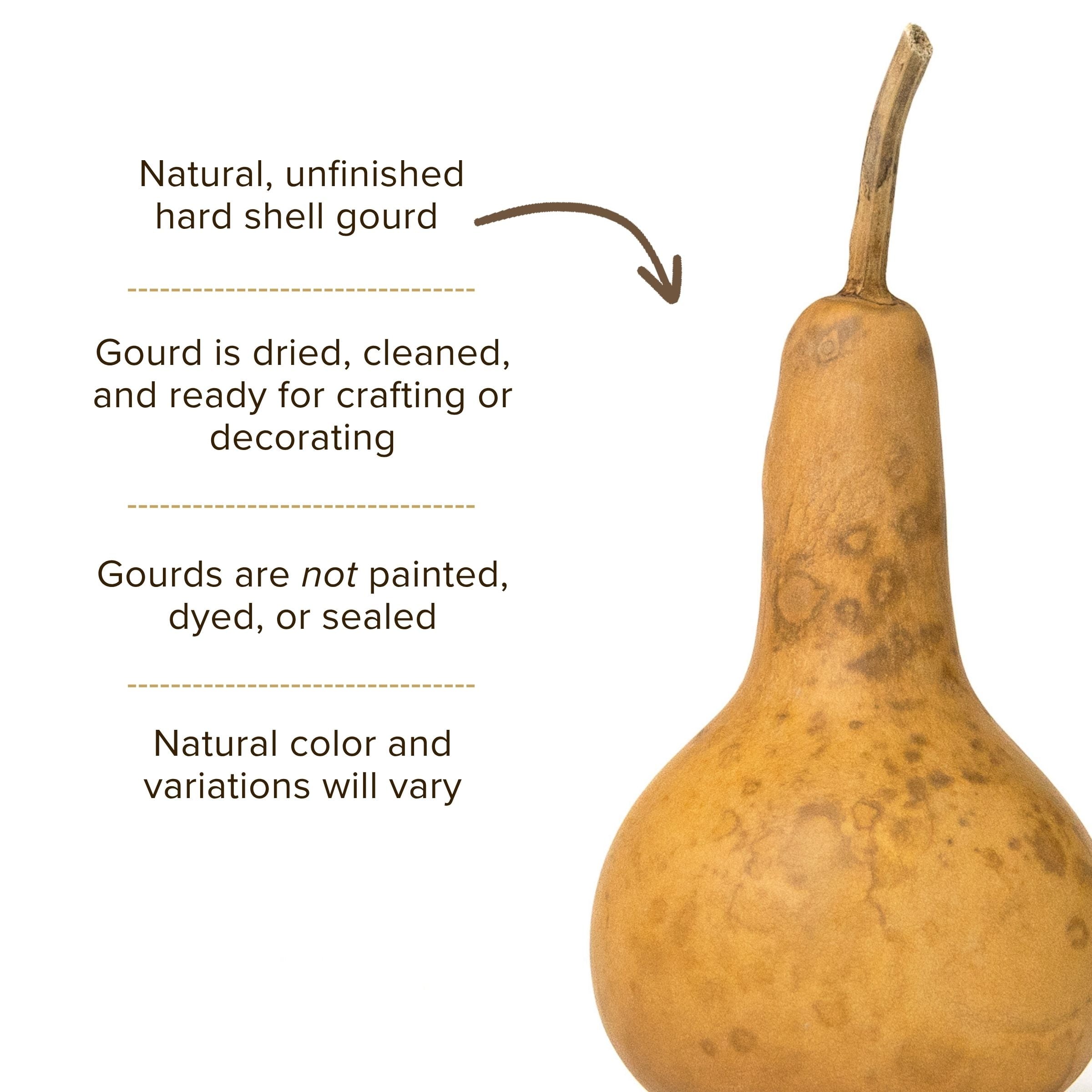 Dried Martin Gourd - 3" in Diameter