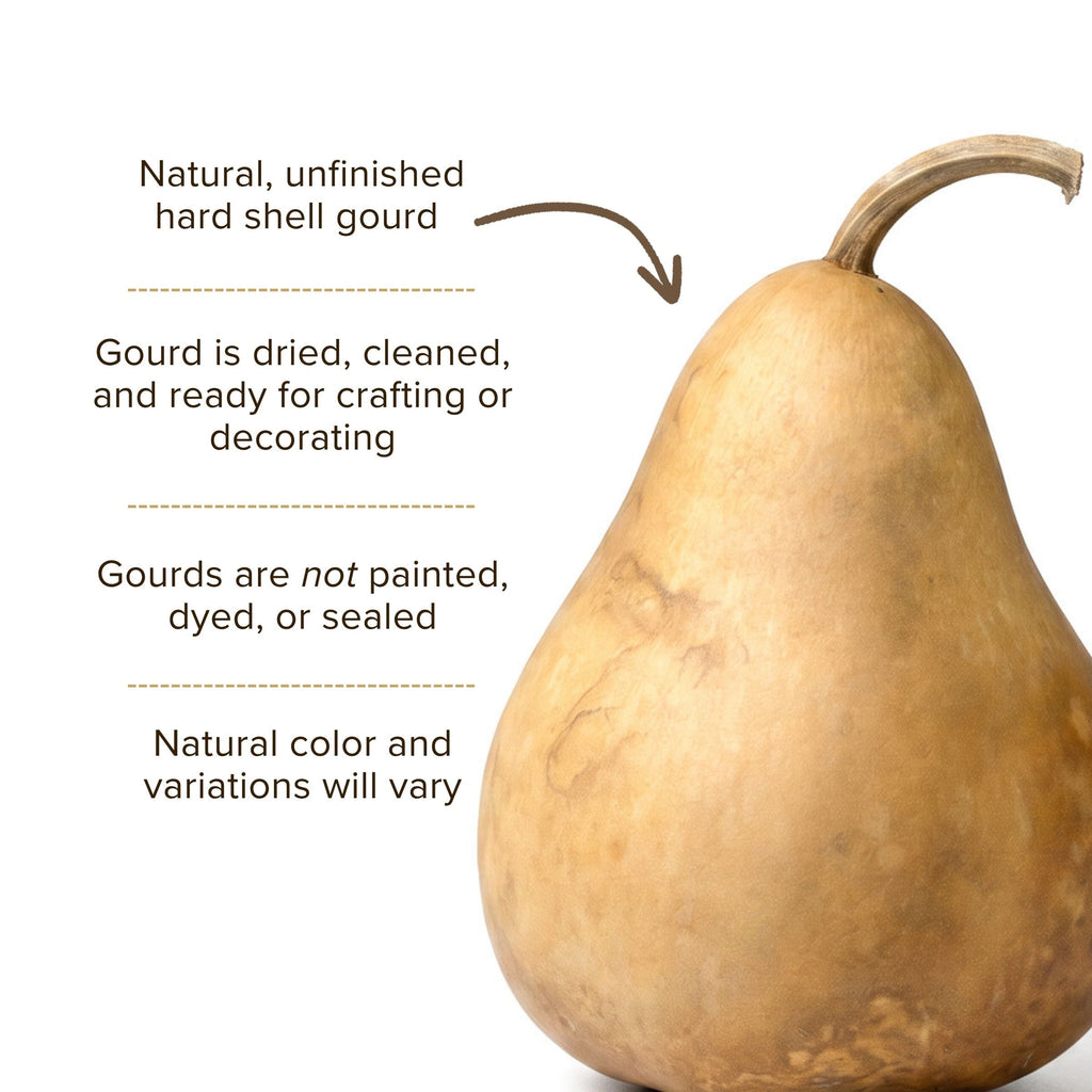 Dried Martin Gourd - 4" in Diameter