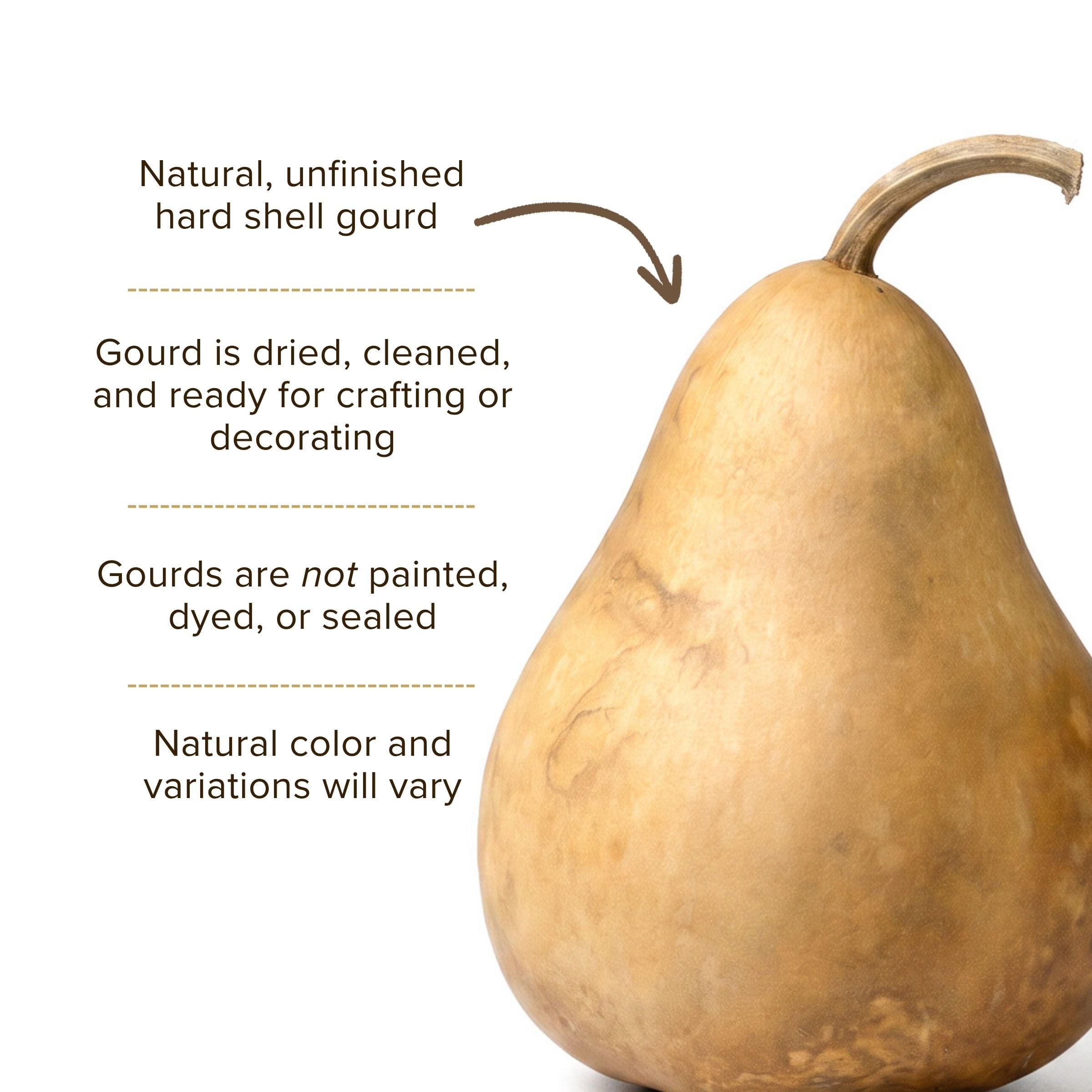Dried Martin Gourd - 4" in Diameter