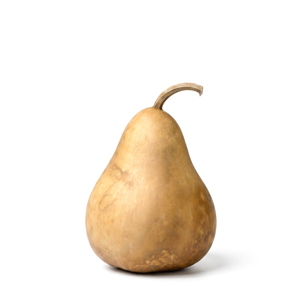 Dried Martin Gourd - 4" in Diameter