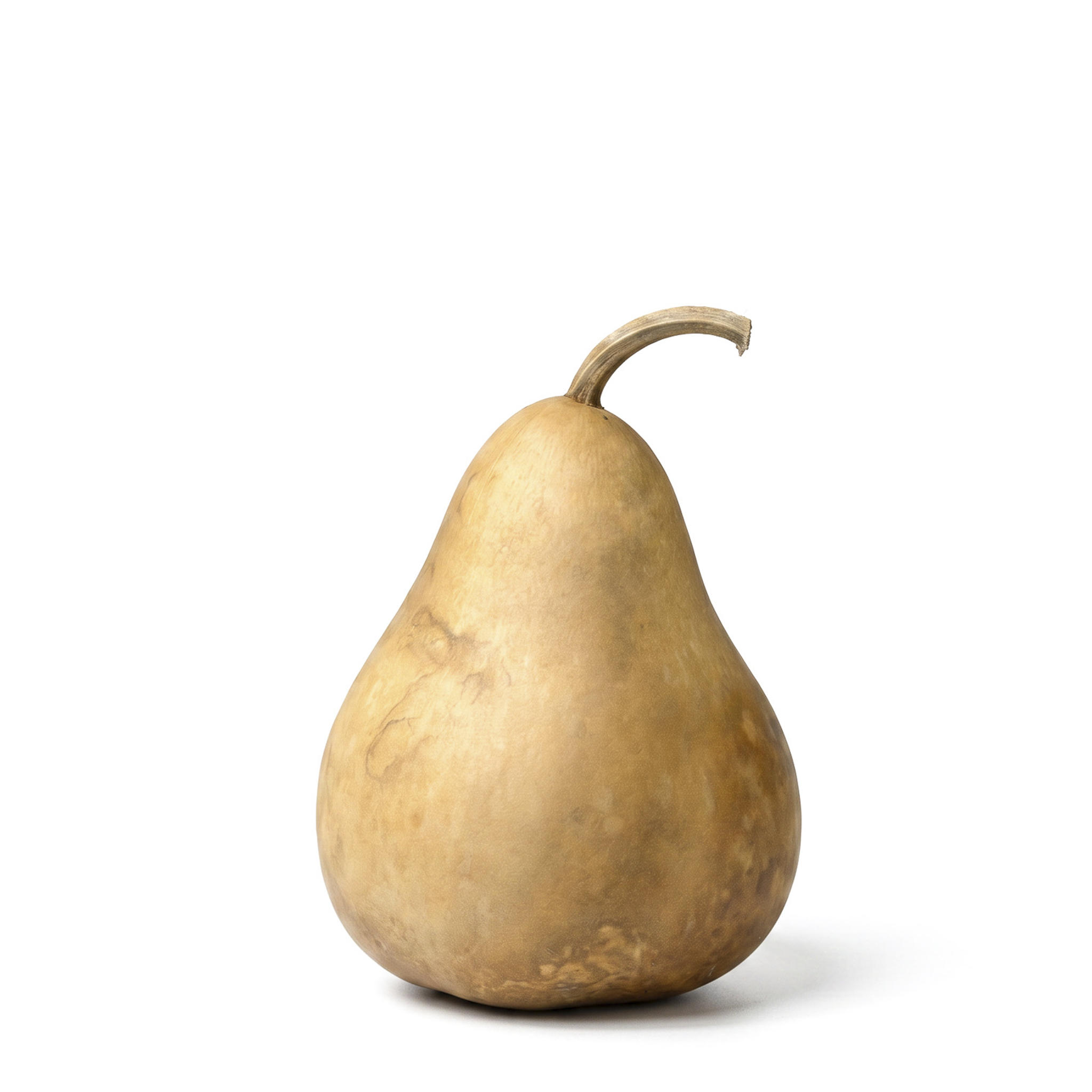 Dried Martin Gourd - 4" in Diameter