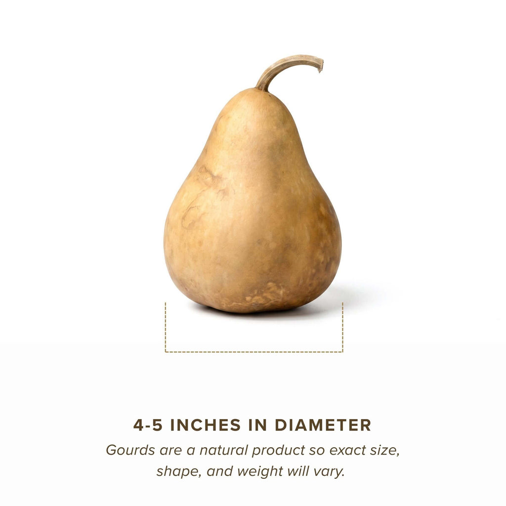 Dried Martin Gourd - 4" in Diameter