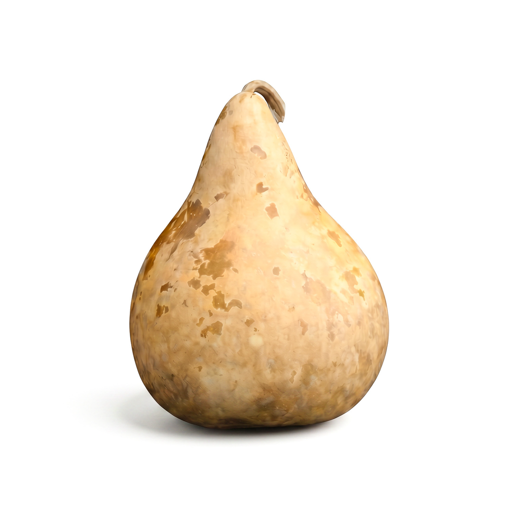 Dried Martin Gourd - 5" in Diameter
