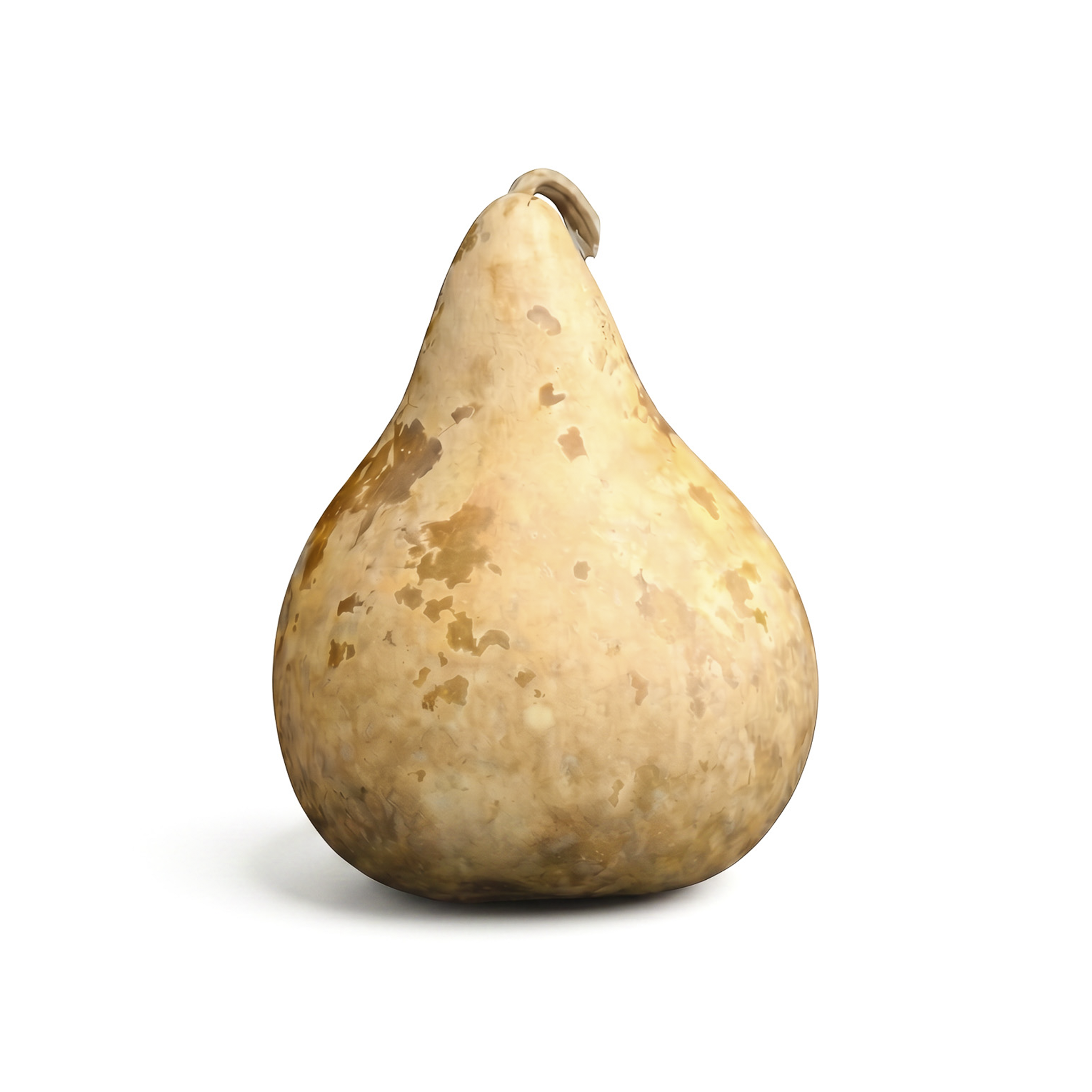 Dried Martin Gourd - 5" in Diameter