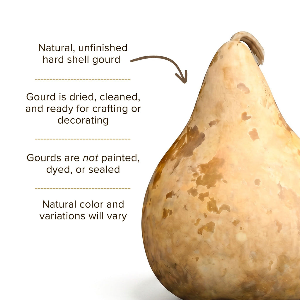 Dried Martin Gourd - 5" in Diameter