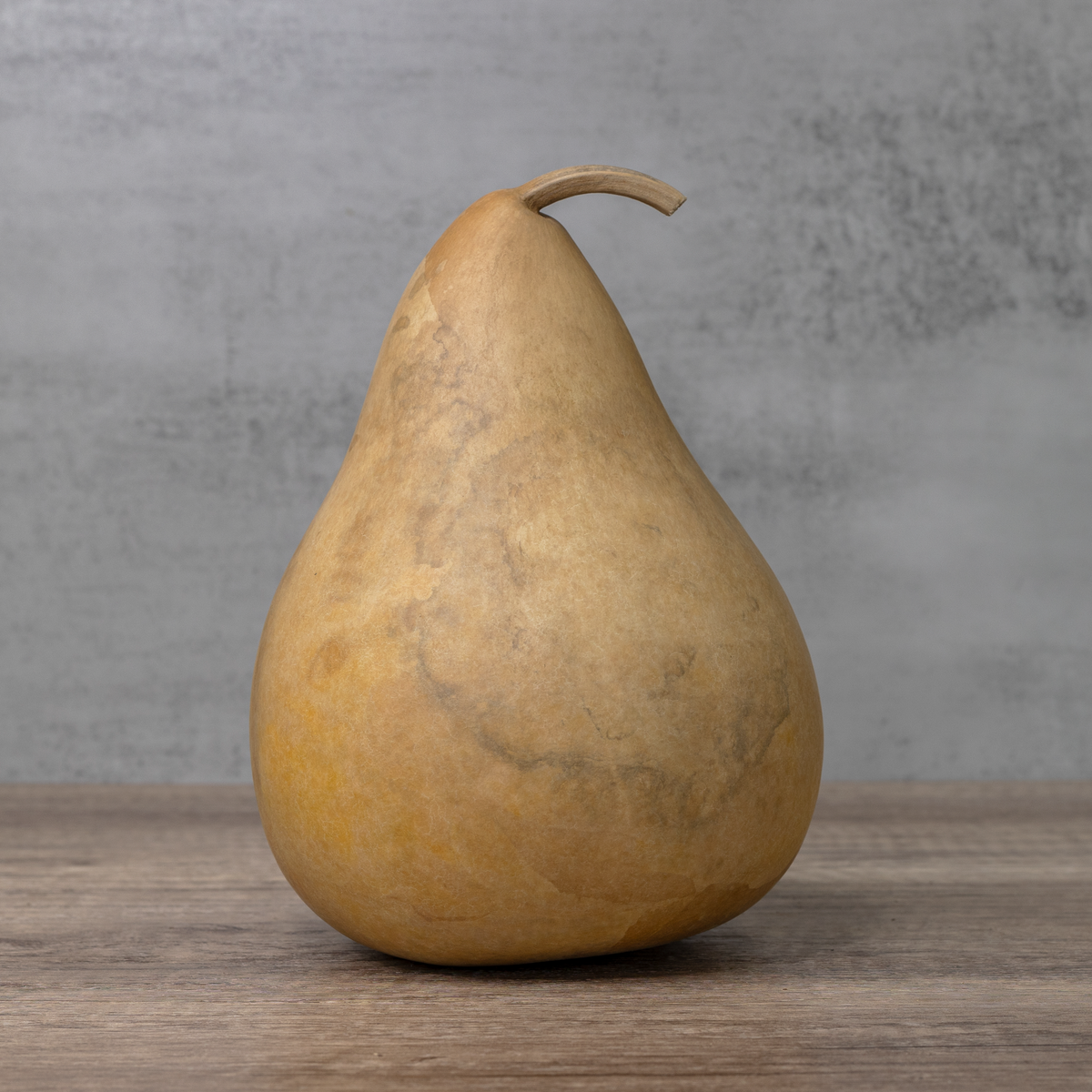 6 inch martin dried gourd at Meadowbrooke Gourds. 
