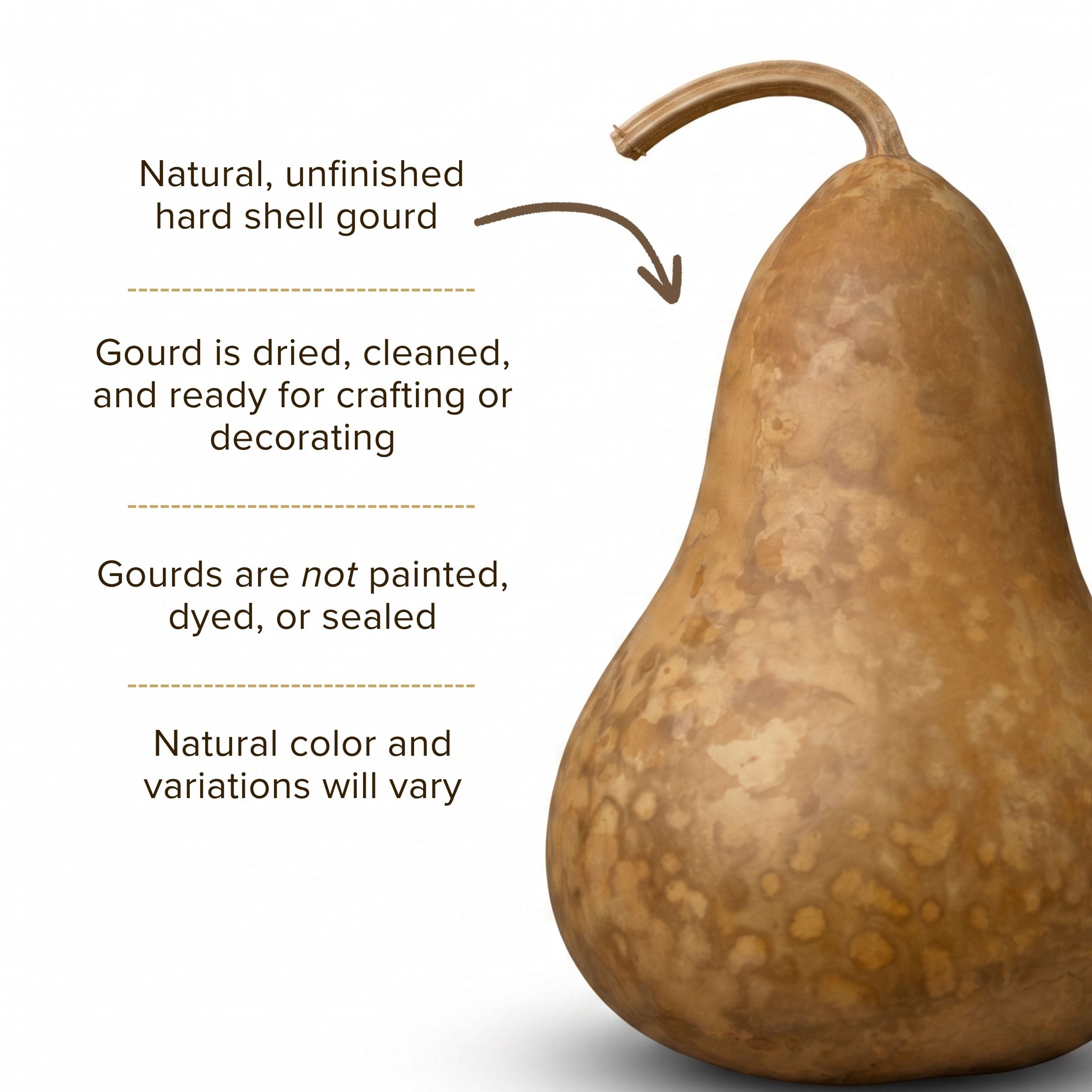 Dried Martin Gourd - 6" in Diameter