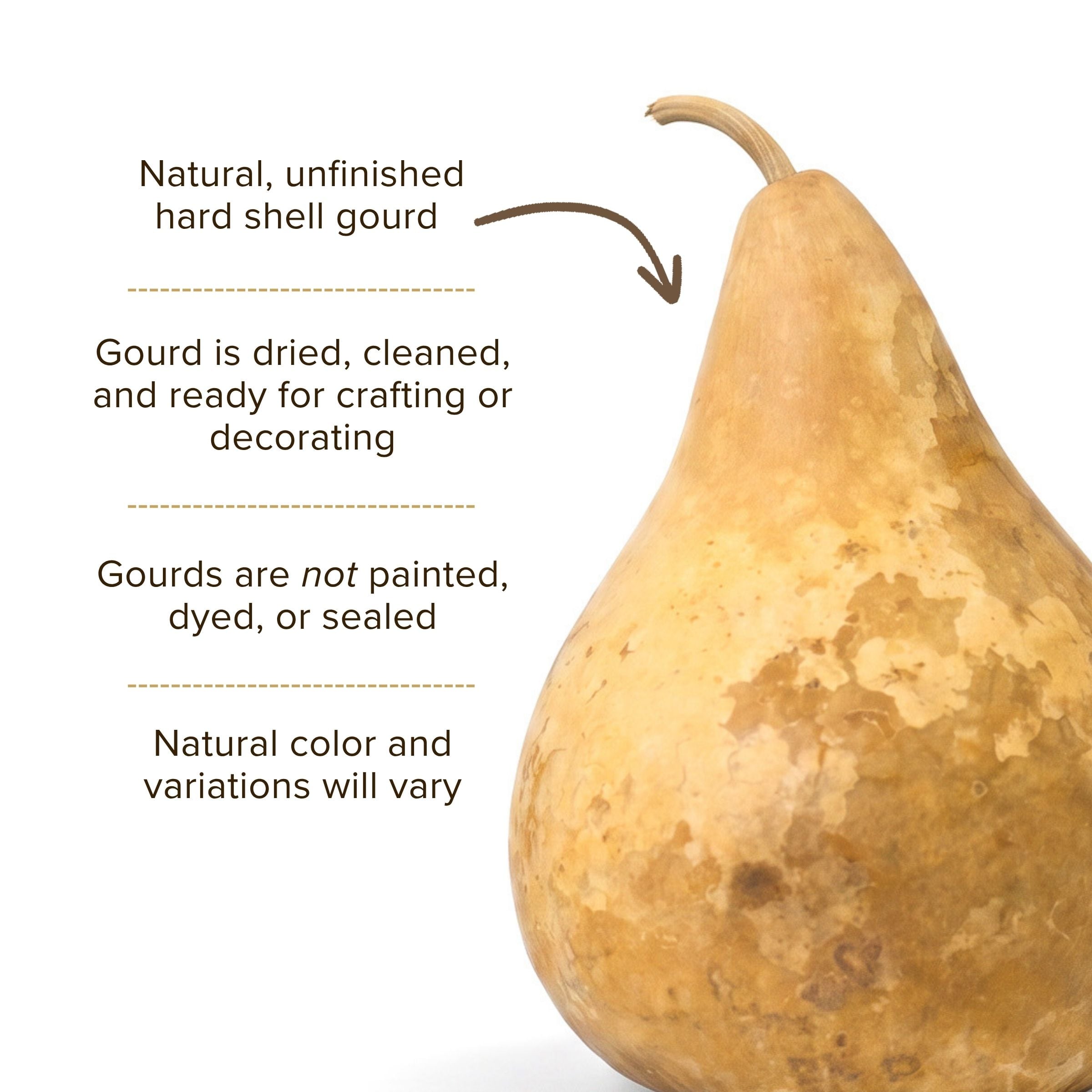 Dried Martin Gourd - 7" in Diameter