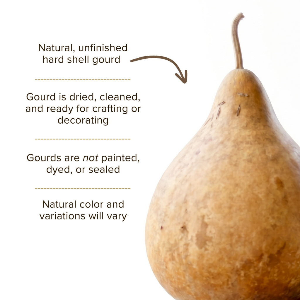Dried Martin Gourd - 8" in Diameter