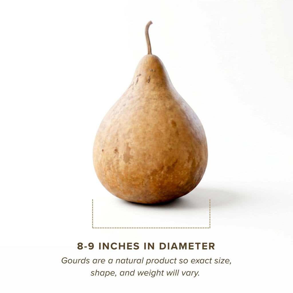 Dried Martin Gourd - 8" in Diameter