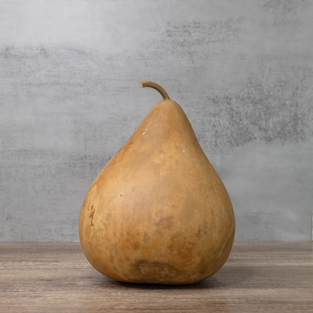 Dried Martin Gourd - 8" in Diameter