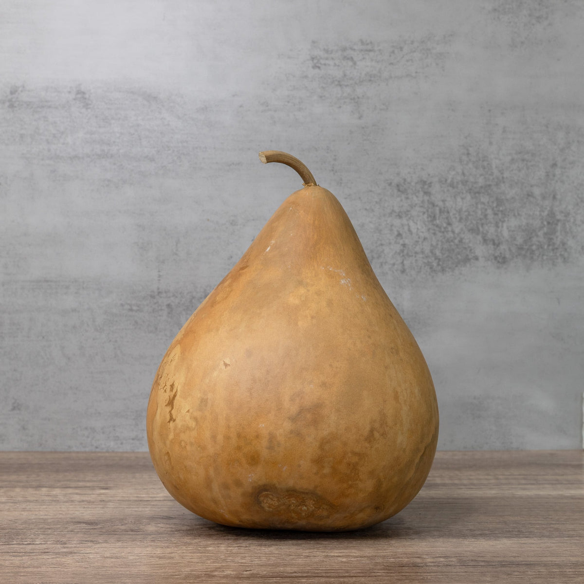 Dried Martin Gourd - 8" in Diameter