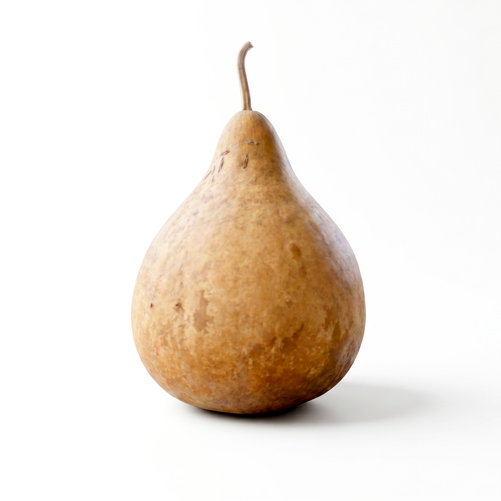 Dried Martin Gourd - 8" in Diameter