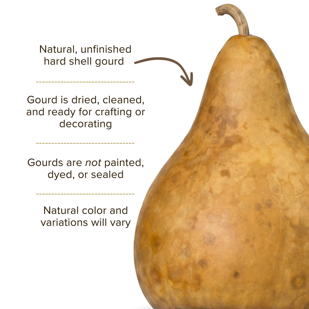 Dried Martin Gourd - 9" in Diameter