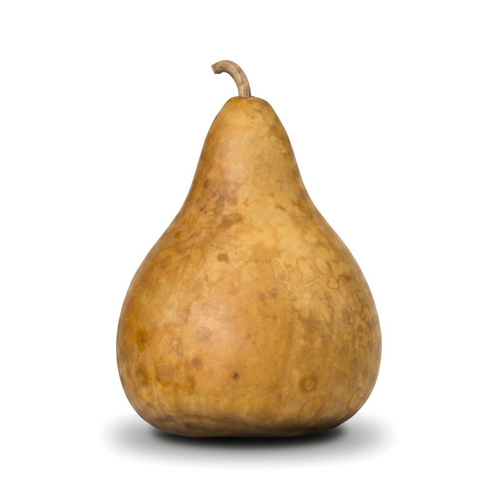 Dried Martin Gourd - 9" in Diameter