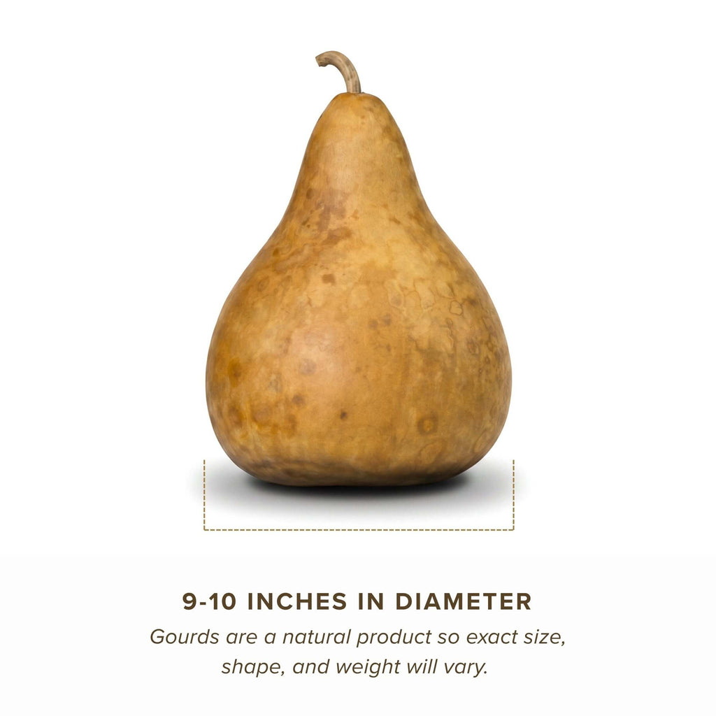 Dried Martin Gourd - 9" in Diameter