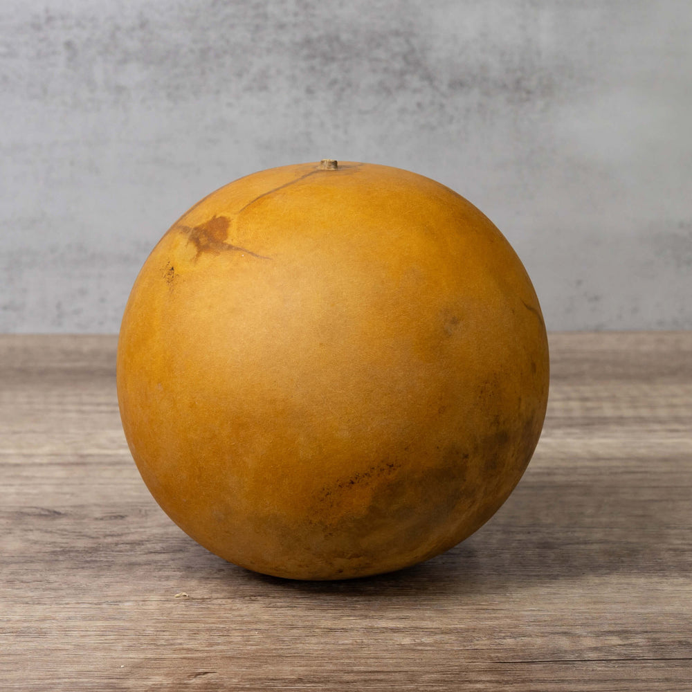 5" Cannonball Gourds at Meadowbrooke Gourds. 