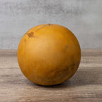 5" Cannonball Gourds at Meadowbrooke Gourds. 