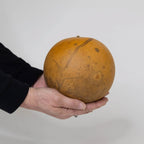 5" Cannonball Gourds at Meadowbrooke Gourds. 