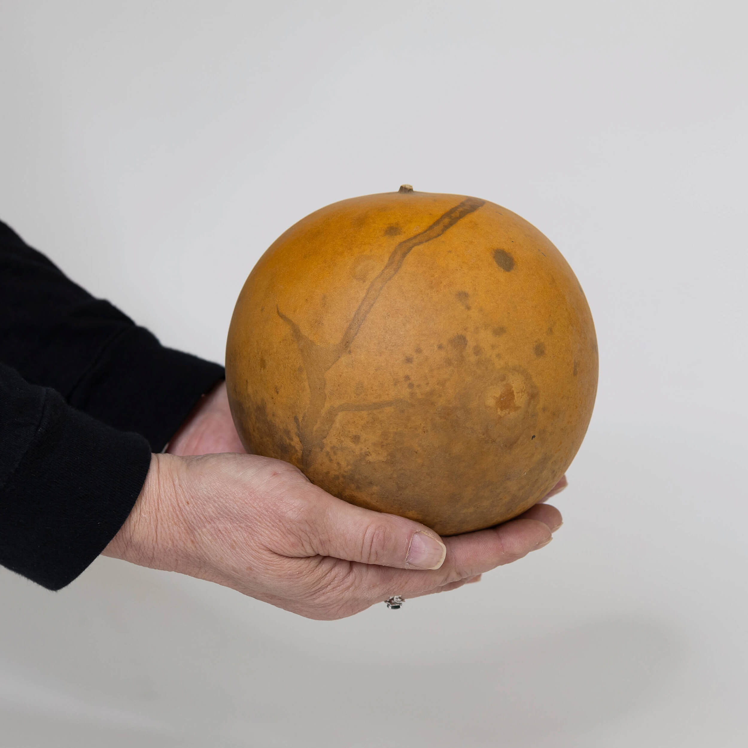 5" Cannonball Gourds at Meadowbrooke Gourds. 