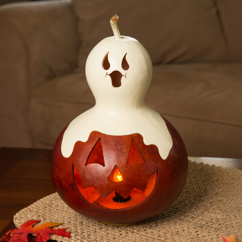 Casper Jack Medium Lit Gourd at Meadowbrooke Gourds. 