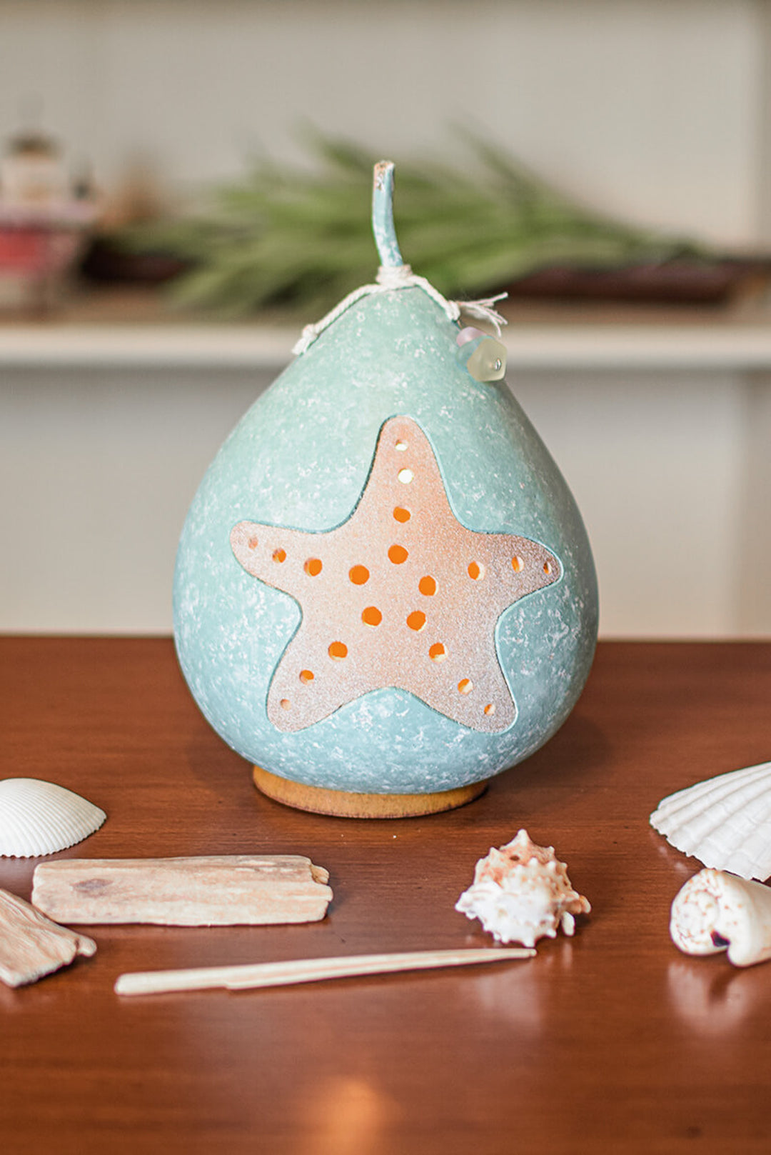Coastal Star Fish Gourd Luminary by Meadowbrooke Gourds