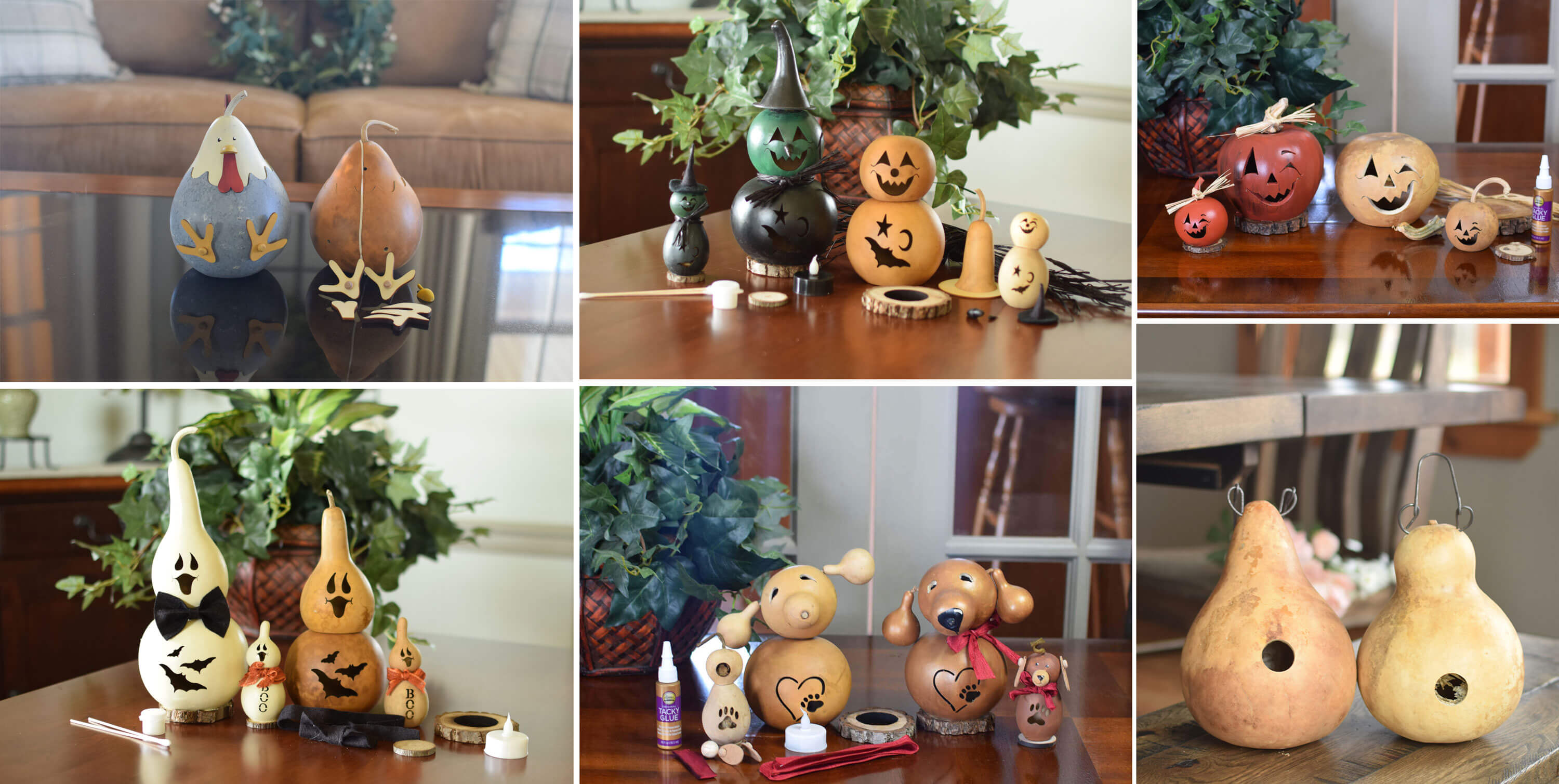 Gourd kit examples at Meadowbrooke Gourds