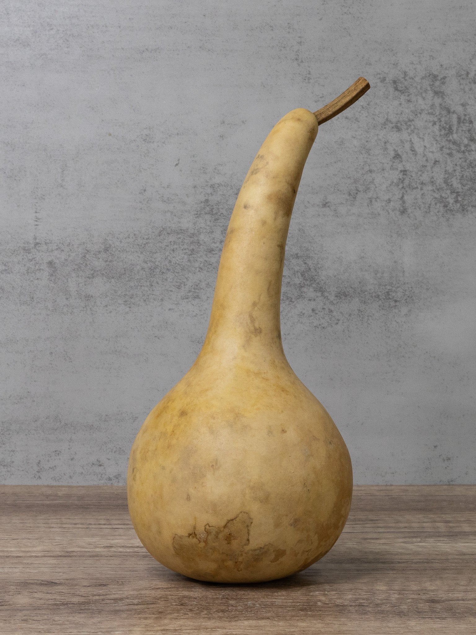 Dipper gourd at Meadowbrooke Gourds