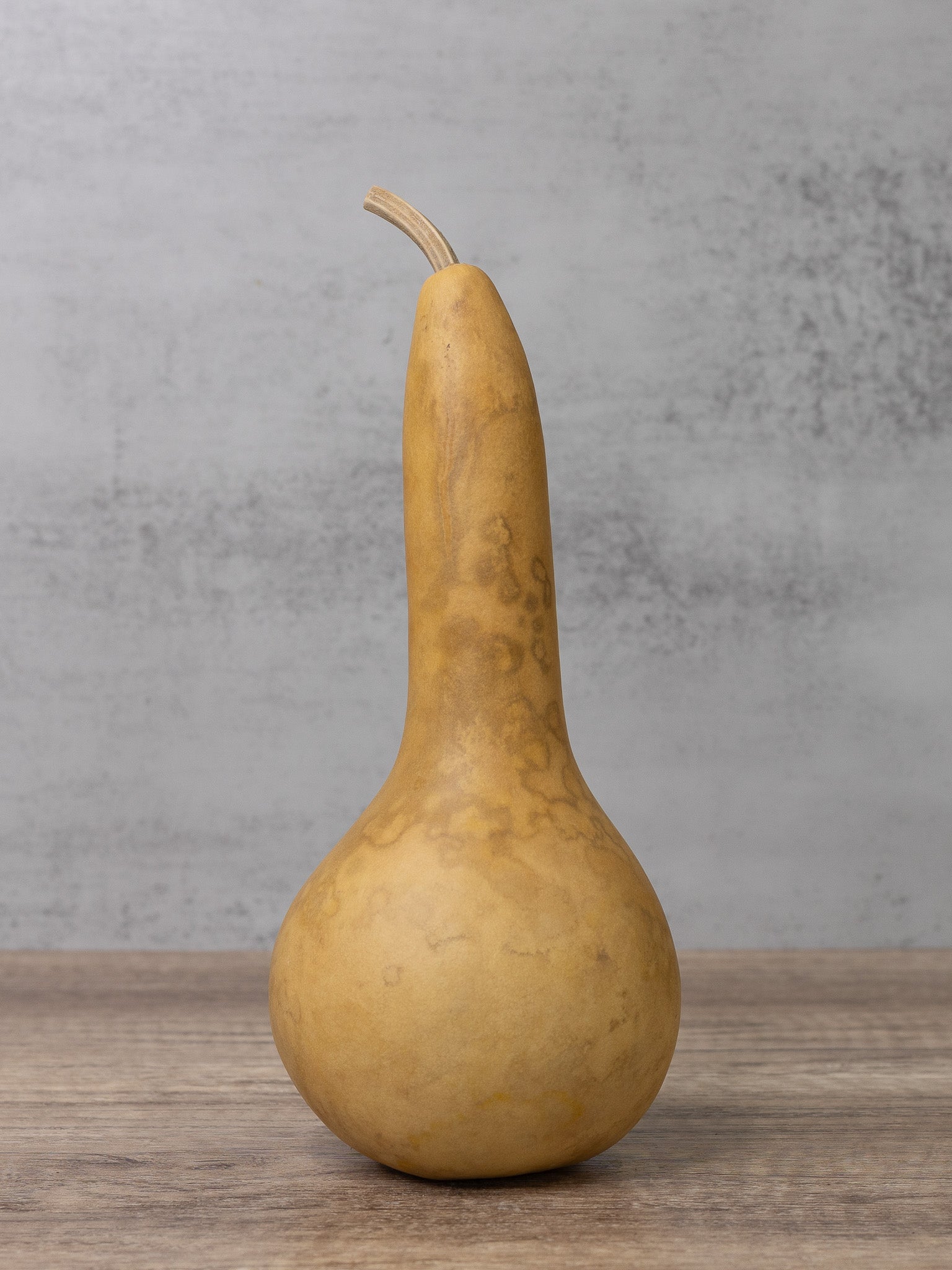 Dipper gourd at Meadowbrooke Gourds