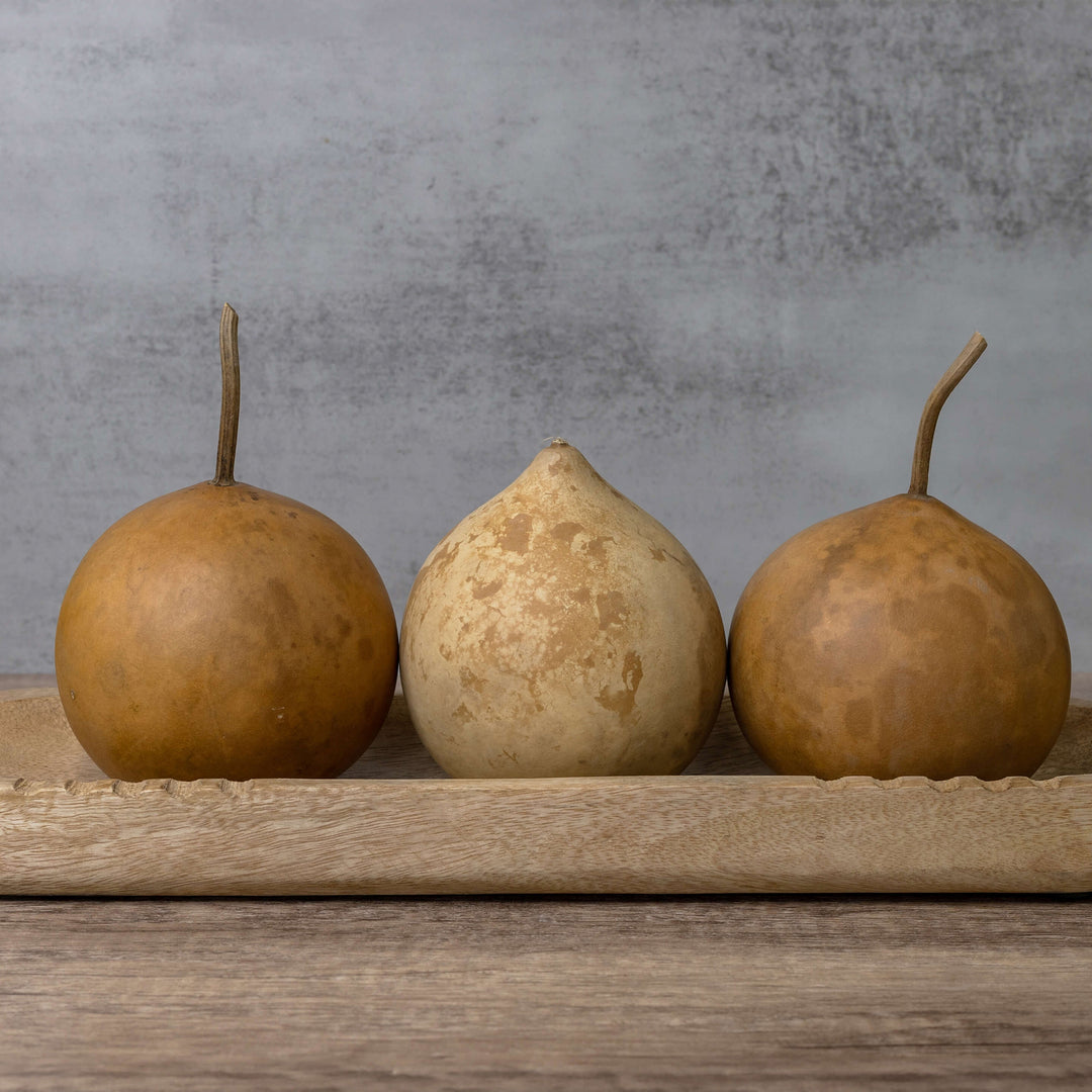 4" Cannonball Gourds at Meadowbrooke Gourds. 