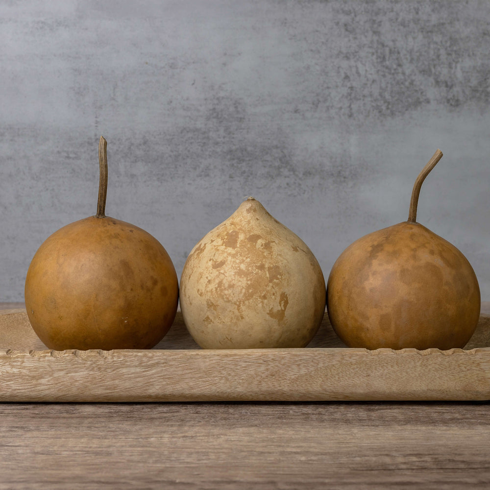 4" Cannonball Gourds at Meadowbrooke Gourds. 