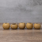 2" Gourd Bowl at Meadowbrooke Gourds.