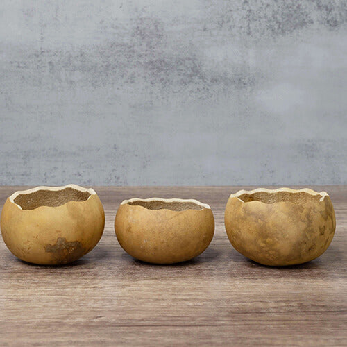 3" Gourd Bowl at Meadowbrooke Gourds.