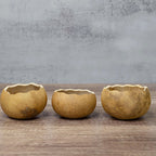 3" Gourd Bowl at Meadowbrooke Gourds.