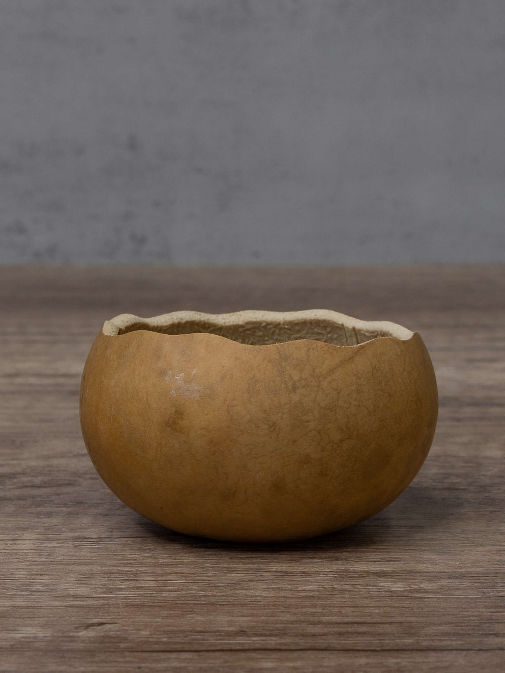 Three inch gourd bowl with scalloped edge at Meadowbrooke Gourds