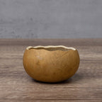 3" Gourd Bowl at Meadowbrooke Gourds.