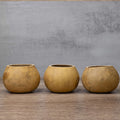 4" Gourd Bowl at Meadowbrooke Gourds. 