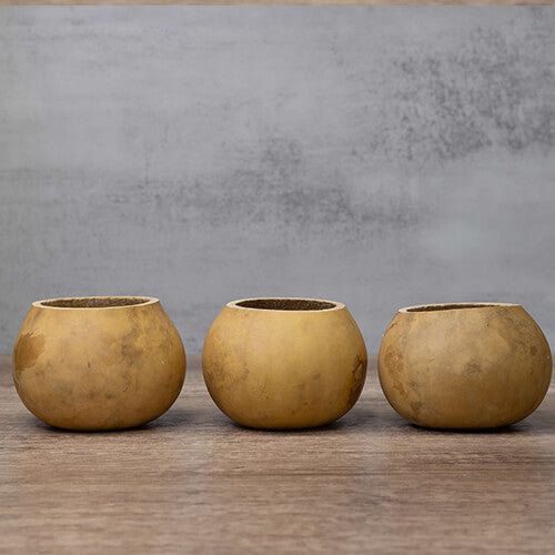 4" Gourd Bowl at Meadowbrooke Gourds. 