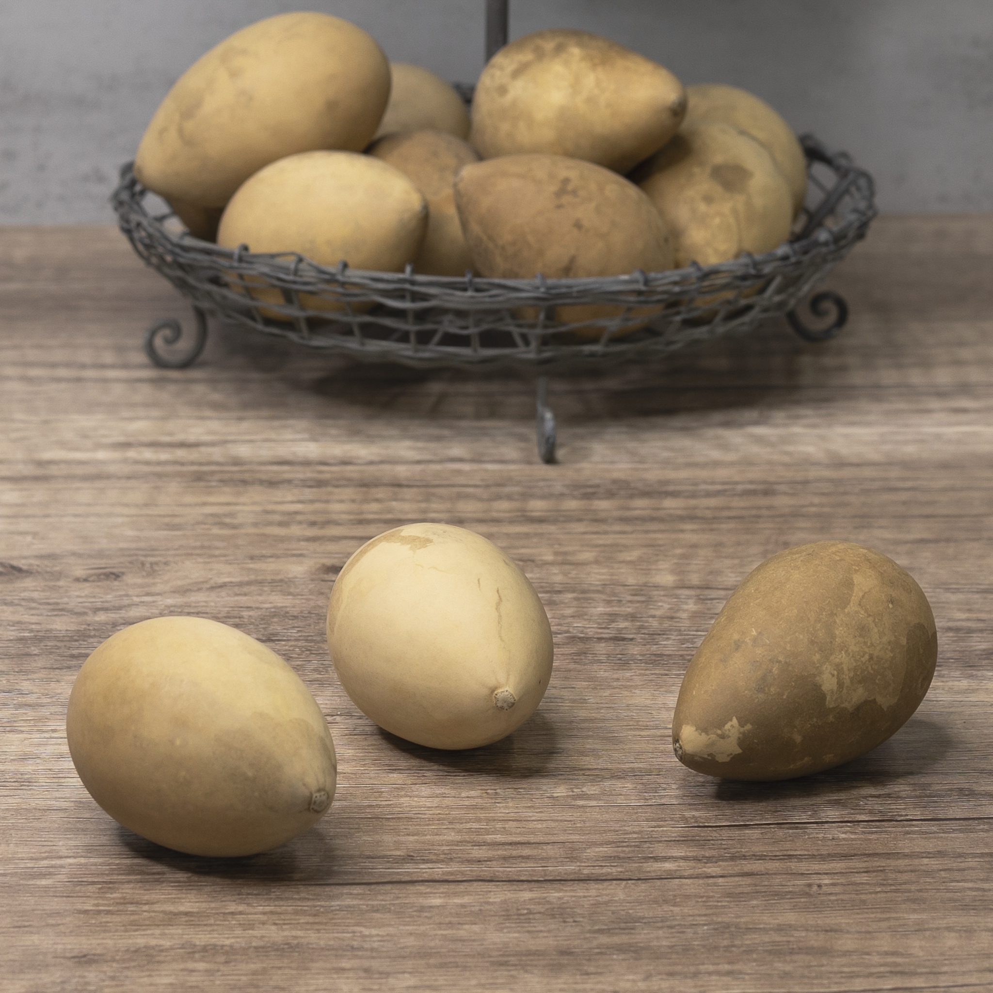 Dried Large Gourd Eggs